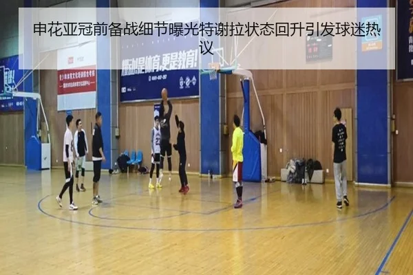 申花亚冠前备战细节曝光特谢拉状态回升引发球迷热议